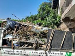 Best Attic Cleanout  in Owatonna, MN