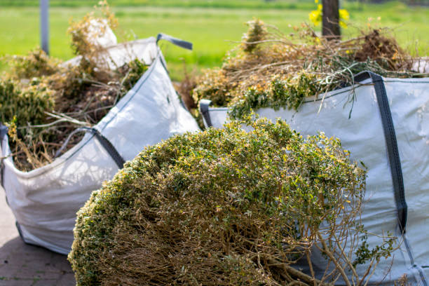Shed Removal in Owatonna, MN